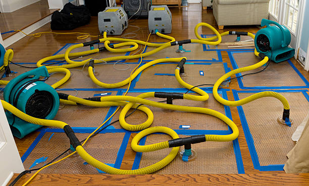 Professional Water Damage Restoration technician working in Robertsville, OH